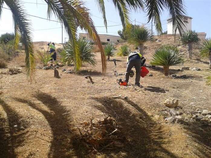 Operarios de Parques y Jardines atienden una zona ajardinada de Telde (Foto TA)